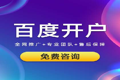 行业标杆：SEM托管公司案例解析
